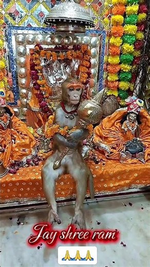 Lord Hanuman ji status 4k : #hanumanji #shorts #shreeram