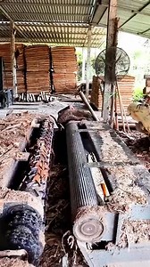 79K views · 204 reactions | ¡De Tronco a Bastón! Así se Fabrican Bastones de Madera Únicos 蝹✨ #reelsviralシ #fypシ゚viralシ #rellsfacebook #reelsfacebook #fypシ | Historias curiosas | Facebook