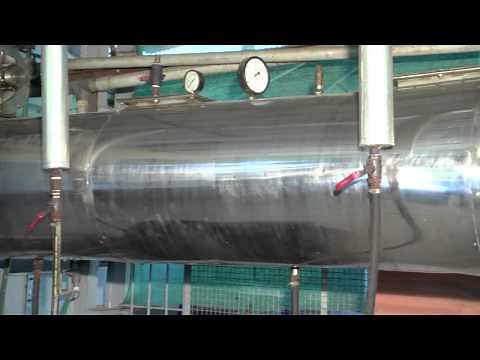 Green Peppercorn (Dried) Processing Technology