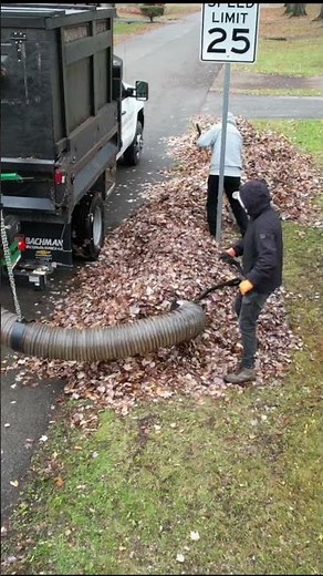 Leaf Removal with the Billy Goat Debris Loader