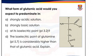 What form of glutamic acid would you expect to predominate in:... | Filo