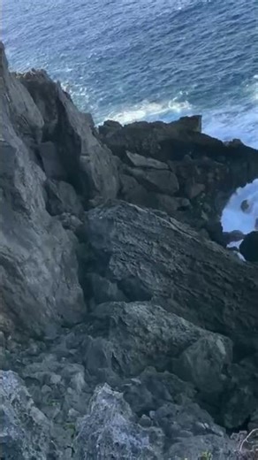 奄美群島への旅（沖永良部島の断崖絶壁②）２０２６年４月