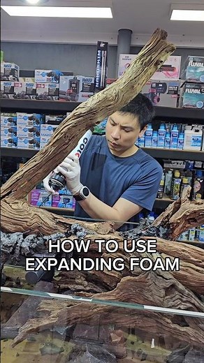 How to use expanding foam for aquascaping #paludarium #vivarium #aquariumhobby