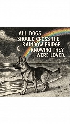 #fblifestyle #animalwelfare #petlove #communityevents #CommunityEngagement #animalrescue #rescuedogs | Easy Dialy Recipes