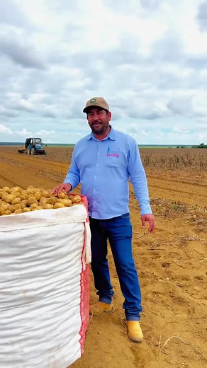 Colheita de Batata em Minas Gerais - Juliano Borges