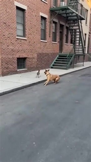 REAL OR AI? Want to learn how to create hyper-realistic videos using AI? Most people think the hard part is the tool. It is not. The hard part is knowing what to build, how to structure the workflow, and how to turn an experiment into something your team can actually use. Hyper-realistic video is not about pressing a button. It is about prompt standards, review steps, brand controls, and governance. This is where AI Smart works differently. We do not sell shortcuts. We design systems. AIS helps 