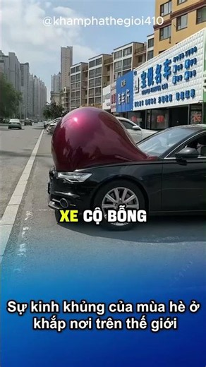 Mùa hè nóng nực ở các quốc gia trên thế giới khủng khiếp thế nào #short #khampha