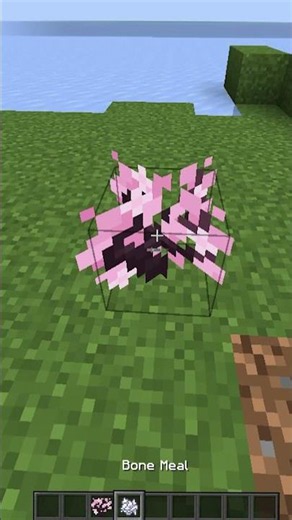 I TRIED BEST SHADERS IN MY PC 🤯