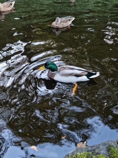 Sarah Pratt on Reels