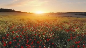 Cormac Thompson beautifully covers 'Empty Chairs at Empty Tables' from 'Les Miserables' 👑🇬🇧🎤🔥 | Music Crowns