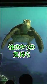 Don't ask a turtle for advice [Turtle Talk] Tokyo DisneySea