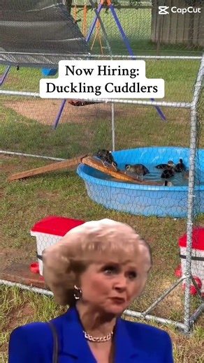 Anyone Want a Fun Job?