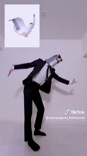 カモメミームを踊ってみた！