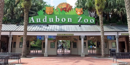 Audubon announces new membership options