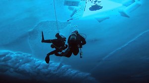 3.8K views · 46 reactions | Infused with our renowned Amortiser®...