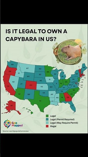 Capybara's Legality across US 🇺🇸