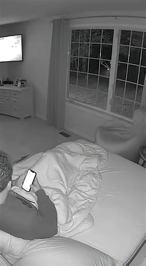 Night cam caught a full-on thriller: an elk crashes through the window, and the guy just freezes like he’s part of the show. A few seconds later, the elk’s like, ‘Okay, I’m out!’ and bolts back outside.#Fun #WildlifeComedy #Oops #CaughtOnCamera