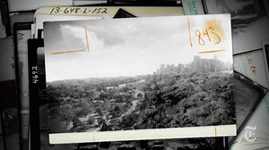 Documentaries, Journalism, and the Future of Reality-Based Storytelling