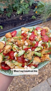 Tomato, cucumber, ground cherry and prosciutto panzella salad 🥗 For the salad: The proportions of each ingredient is all up to you. Want mostly tomatoes? Add mostly tomatoes. It’s all in your hands! -Cherry Tomatoes, halved -Cucumber, chopped -Ground cherries, halved -Mozzarella pearls -Basil, for garnish -Bread, torn into bite sized pieces -prosciutto, torn into bite sized pieces -Olive oil -Salt For the Dressing: -tomato water from draining the tomatoes -1/2 cup olive oil -1/4 cup red wine vi