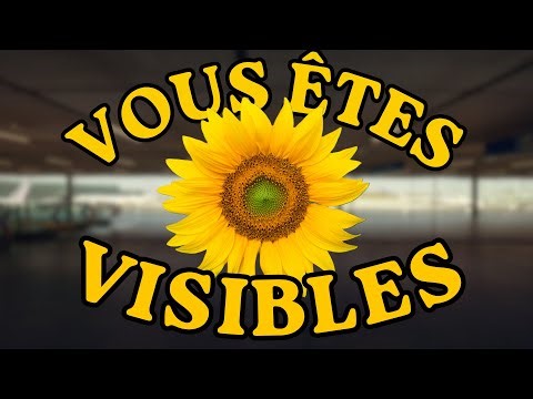 Il n'y a pas de "handicap invisible"