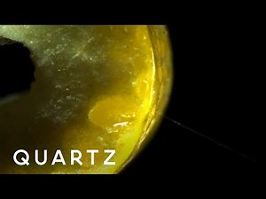 Citrus juice accelerates faster than rockets