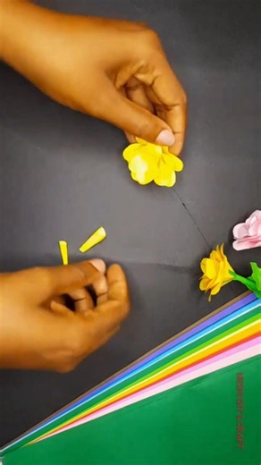 Stop Killing Your Roses! 5 Essential Rose Care Tips #diy