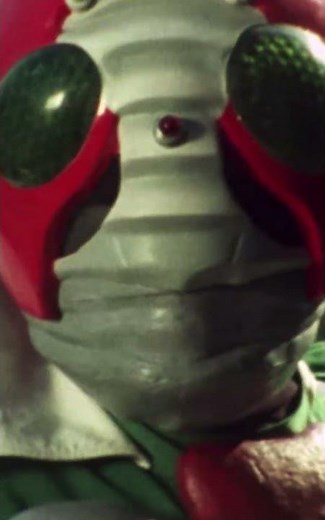 Sky Rider Kamen Rider