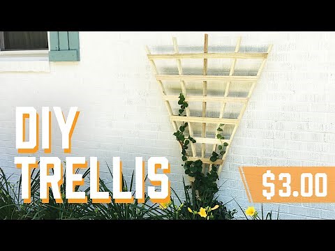 DIY Garden Trellis