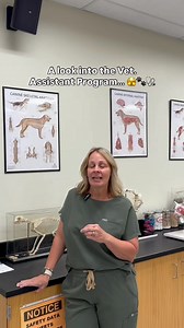 Our Vet. Assistant Program is BACK! 🙀🐾🧑‍⚕️ If you want to take your first step into the veterinary world, this is the best way to start. There is a free orientation event on Aug. 13! Sign-up at https://wce.macomb.edu/index.cfm?method=ClassInfo.ClassInformation&int_class_id=9813&int_category_id=8&int_sub_category_id=39&int_catalog_id=0 | Macomb Community College