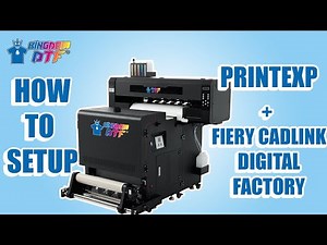 Master DTF Printing: PrintEXP & Digital Factory Setup Revealed!