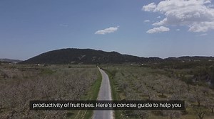 Fruit Tree Care Guide