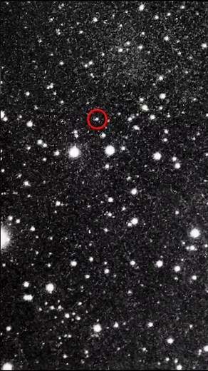 NASA'S Shocking Discovery : Pluto the Dog Found on Pluto!