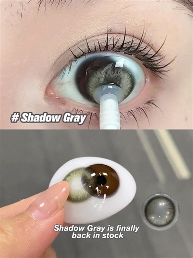 Magister Lens Restock: Best Seller Back in Stock