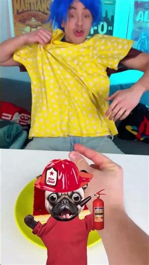 كلاب تحتفل بإطفاء الشموع! 🎉🐶