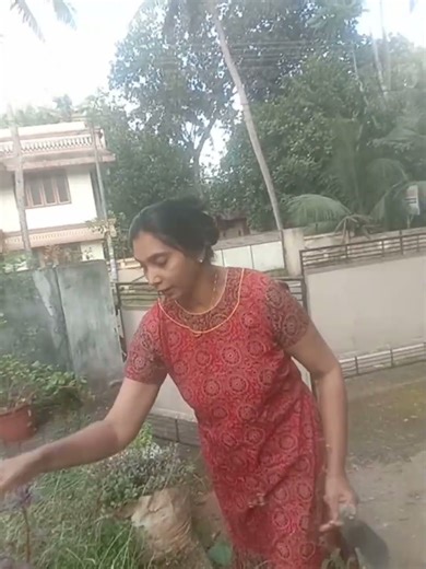 പടർന്നു പിടിച്ചപ്പോൾ / Vlog/ DIY/craft ideas/ shorts/ Divya Shiju