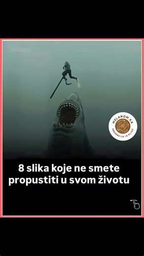 Understanding Melanoma and Immune Health: Key Insights