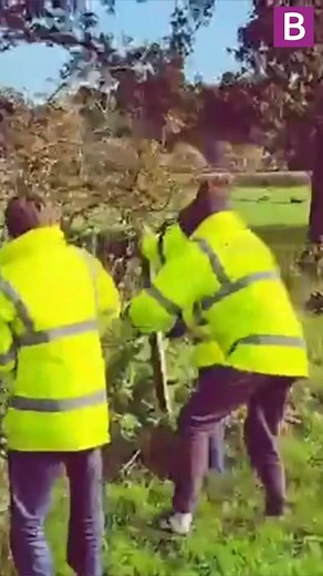 The distressed fallow deer buck was about to be shot to save it from more suffering. But specialists managed to get to him just in time. #news #animalrescue | Birmingham Live