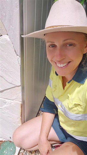 These girls had made their home in a pit for a termite reticulation system. Luckily they weren't exposed to any poison and have been moved into a beautiful new home! These girls definitely are loving the Cadaghi seeds this season. Australian native stingless bees Tetragonula hockingsi