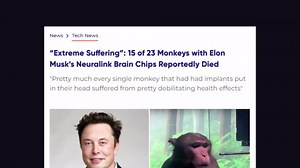 What Will AI Programming Look Like in 5 Years