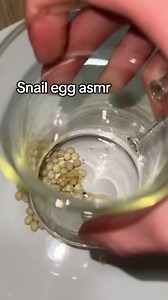 #snailsoftiktok #asmr #snaileggcrushing #fyp | Snail