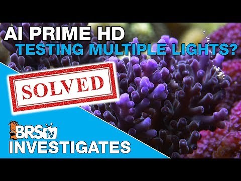 Testing multiple AI Primes to light a SPS tank | BRStv Investigates