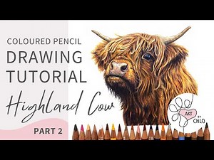 How to Draw a Realistic Highland Cow | Step-by-Step Coloured Pencil Tutorial | Part 2 🐮