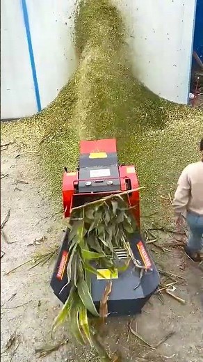 High-Speed Corn Silage Chopper in Action | Fodder Machine Demo