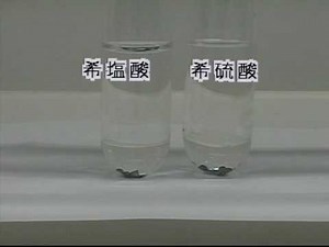 【ASNR プリント黒板実験映像108】希硫酸・希塩酸と鉛の反応