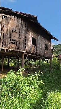 The abandoned village in the middle of the deep forest is very scary.