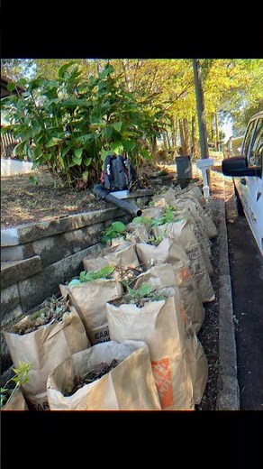 Yard Clean Ups and Maintenance!