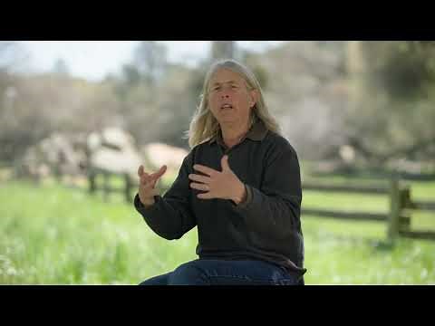 How to Make Large Compost Piles with Windrows and Tractors