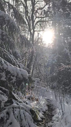 Snow Hiking #pnw #mountains