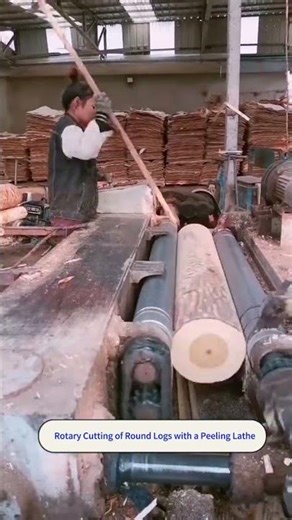 Primary wood processing: Rotary cutting of round logs with a peeling lathe