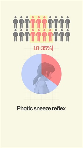Have you ever sneezed in bright sunlight? This is the photic sneeze reflex, which affects around 25 per cent of people. It is caused by the closely connected nerves in the eyes and nose, which trigger a sneezing reflex! Next time someone says, ‘Oh, someone's thinking of you’ when you sneeze, just say, ‘It's just because my brain is wired strangely.’🌞🤧 #SneezingFacts #ScienceFacts via Max Planck Institute for Biological Cybernetics | Max Planck Society
